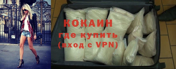 молекула духа Богданович