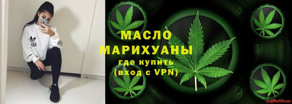 молекула духа Богданович