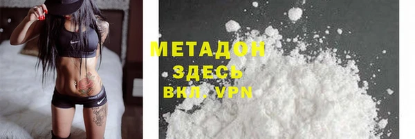 молекула духа Богданович