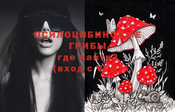 молекула духа Богданович