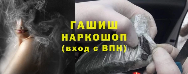 молекула духа Богданович