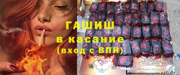 молекула духа Богданович