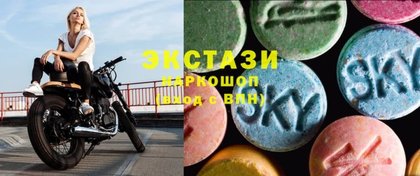 молекула духа Богданович