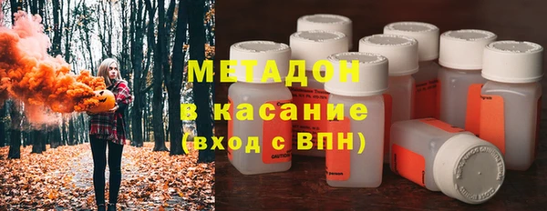 молекула духа Богданович