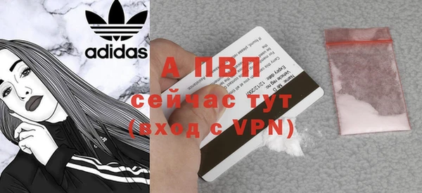 СК Богородицк