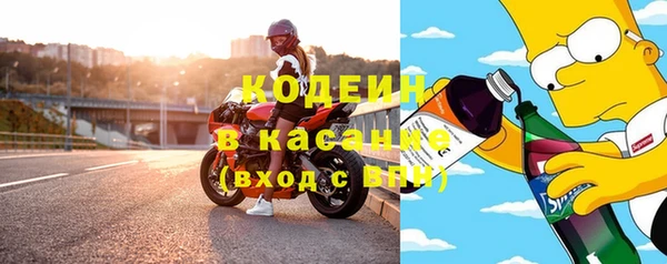 молекула духа Богданович