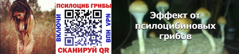 Псилоцибиновые грибы Magic Shrooms  где купить наркоту  KRAKEN ССЫЛКА  Шуя 